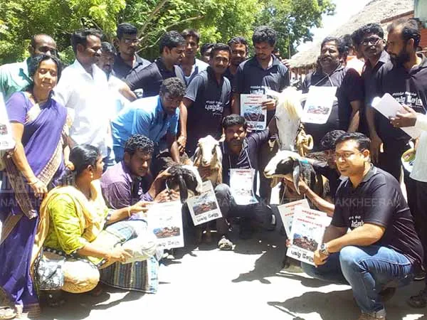 Cattle that petitioned to the Forest Department
